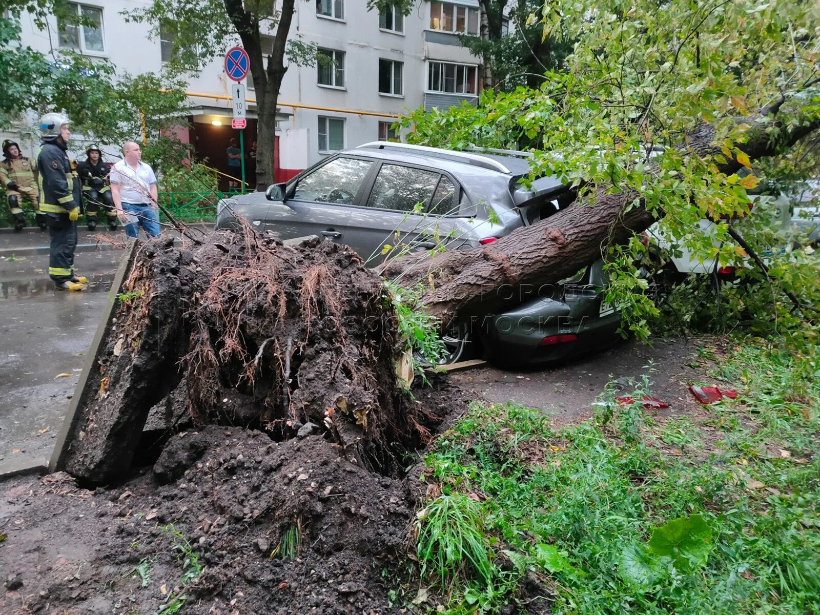 В Москве ветер повалил деревья. Поваленные деревья на улицах Москвы. Ликвидировали упавшее дерево. В Москве упало дерево. Ветер упало дерево