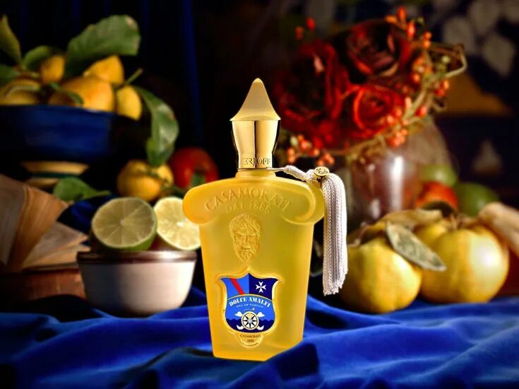 Casamorati amalfi. Casamorati dolce amalfi. Xerjoff casamorati dolce amalfi. Женская парфюмерная вода xerjoff casamorati bouquet ideale. Casamorati dolce amalfi.