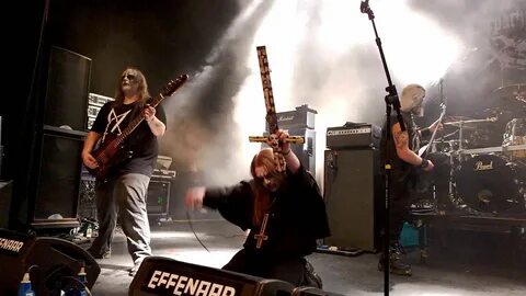 Carpathian forest