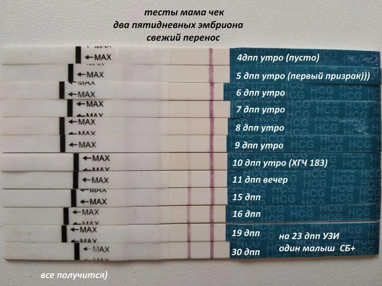Через сколько делают