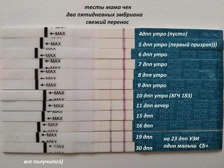 Эко ощущения форум. Тест на беременность 8 ДПП пятидневок. Тесты на беременность после криопереноса по дням. Тесты на беременность на 5 ДПП эмбрионов. Тест на беременность 5 дней после подсадки.