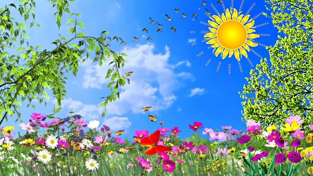 Природа видео детям. Футаж детский фон для видеомонтажа. Небо солнце. Сказочная природа. Природа видео детям.