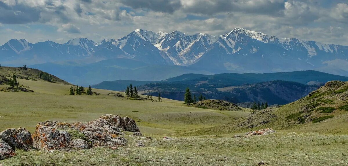 лыжня строителей 2022. республика алтай нов. новости республики алтай. республика алтай нов. кчс республики алтай.