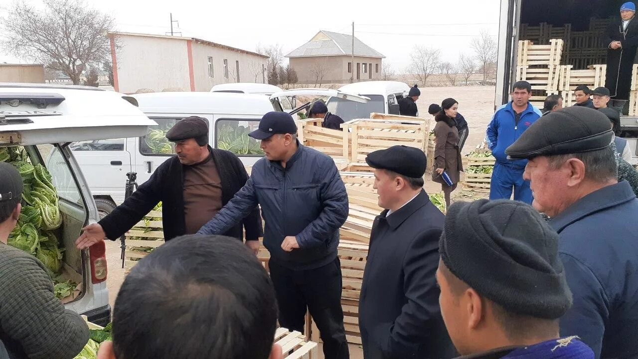 Янгиликлари. Шавкат мирзияев янгиликлари. Сурхондарё бандихон. Жейнов янгиликлари. Узбекистон янгиликлари.