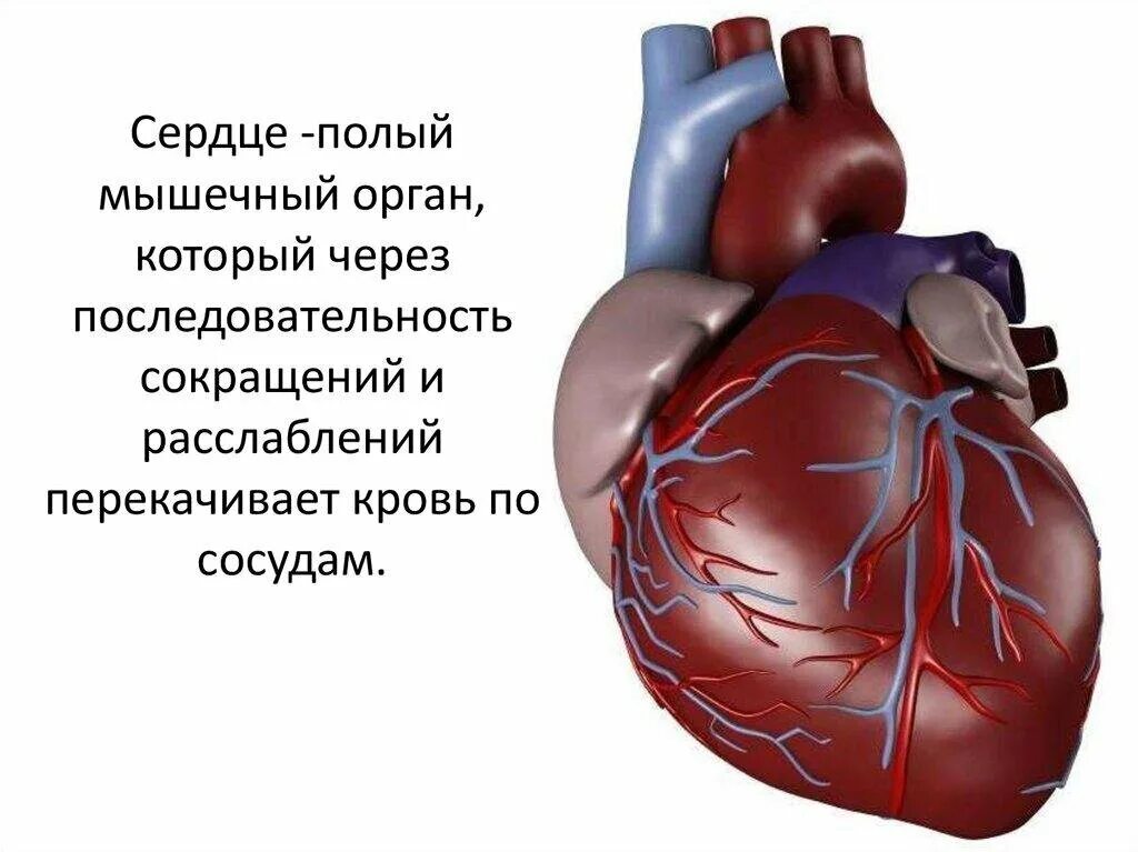 Слепое сердце это