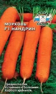Морковь нандрин отзывы