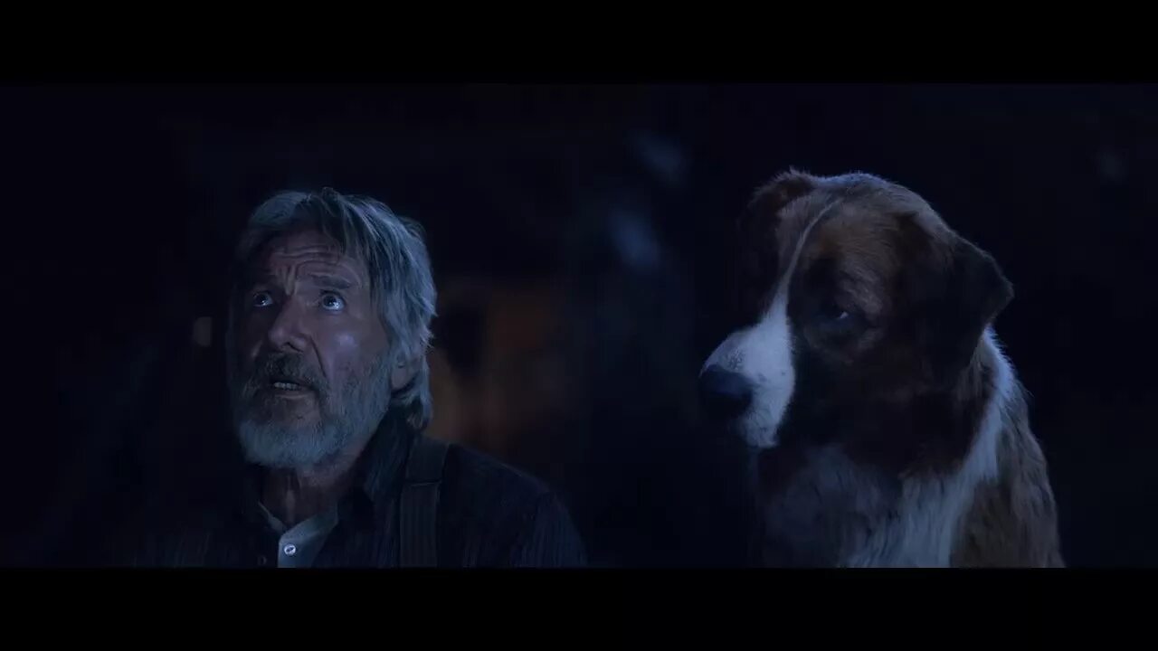 «зов предков», сша 2020 г. Зов предков фильм 2020. Зов предков 2020 трейлер. Зов предков фильм 2020. Зов предков фильм 2020.