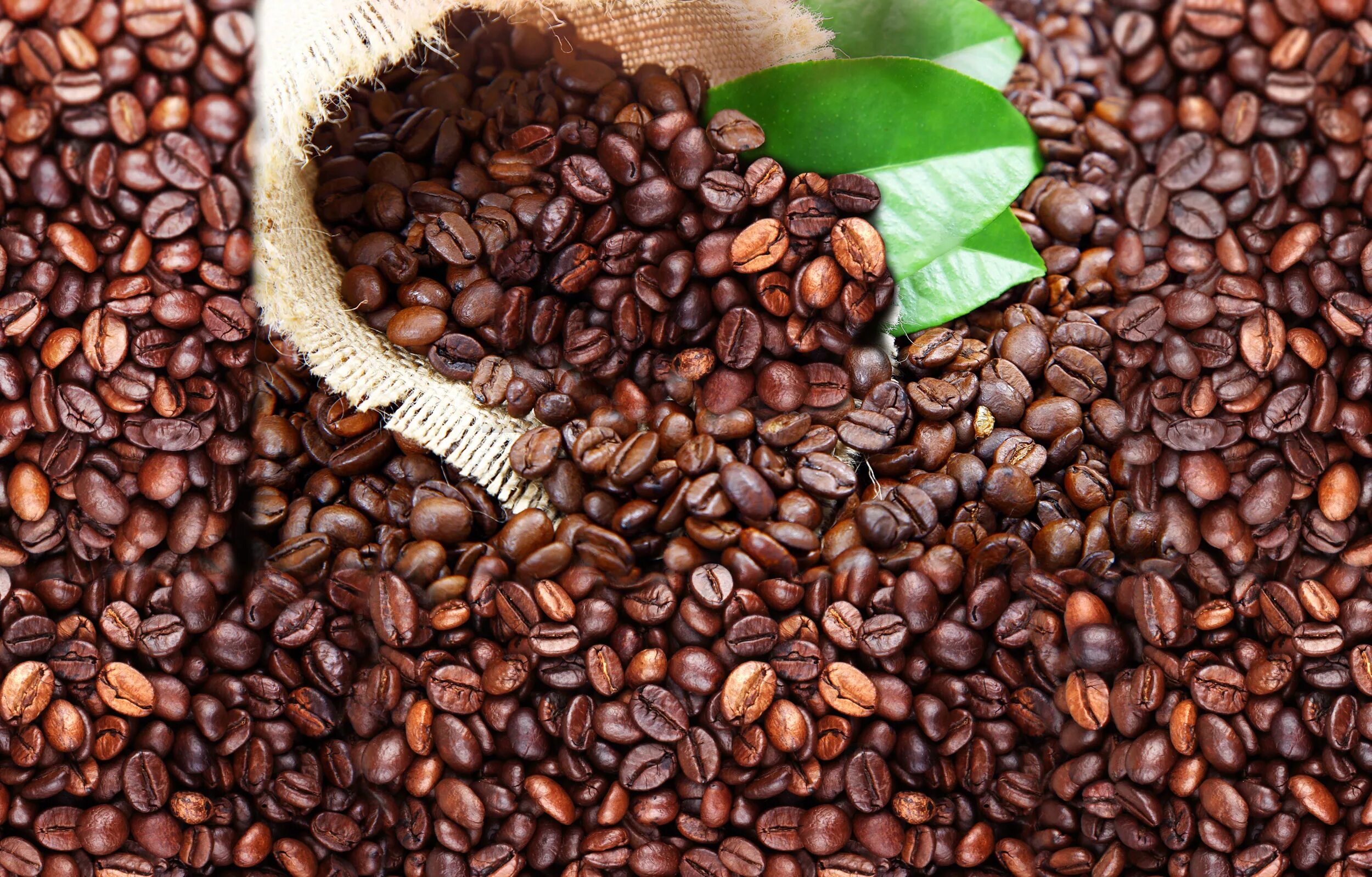 Обжарка кофе. Кофе в зёрнах для кофемашины. Зерновой кофе для кофемашины. Свежие зерна кофе. Эспрессо обжарка