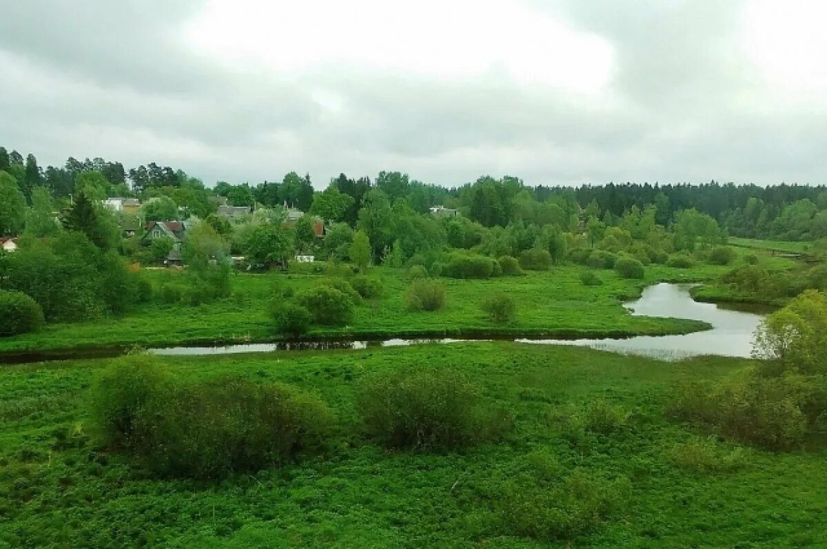 Поливанова и ковшова могила. Погода ковшово гатчинский. Деревня вайя гатчинский район. Вологодская область ковшово. Даймище гатчинский район.
