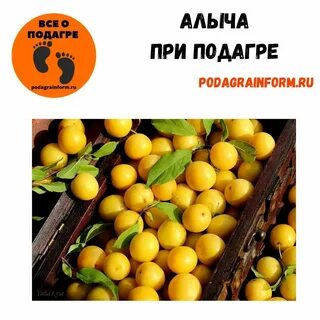 Алыча состав