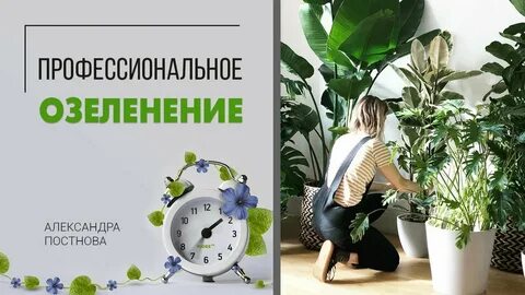 Закоренелый цветочник