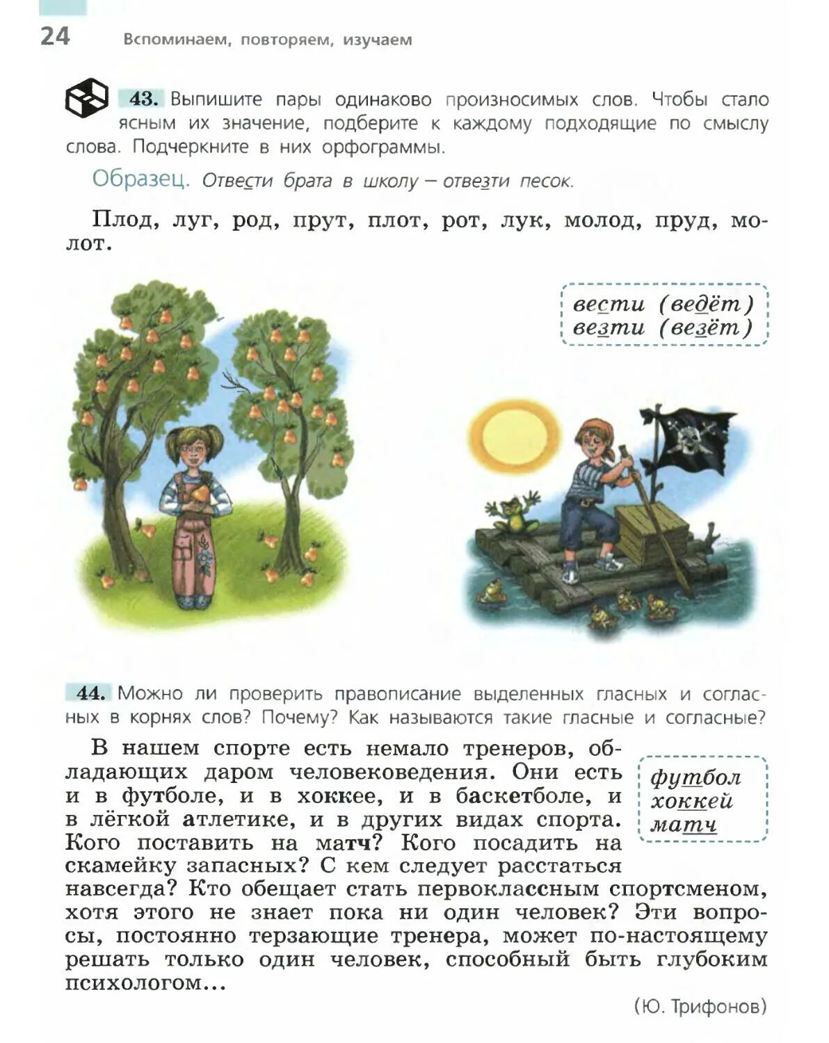 Плод луг род прут плот