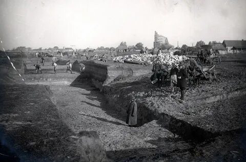 Старая сухими
