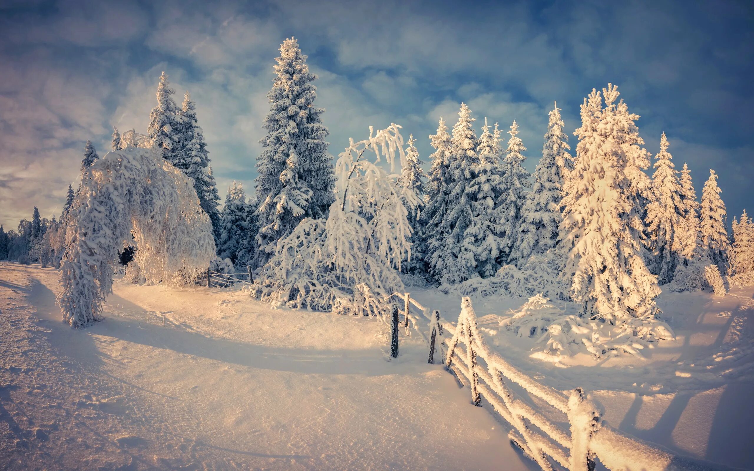 Красивые зимние картинки. Зимняя природа. Зима снег. Красивая зима. Зимний лес.