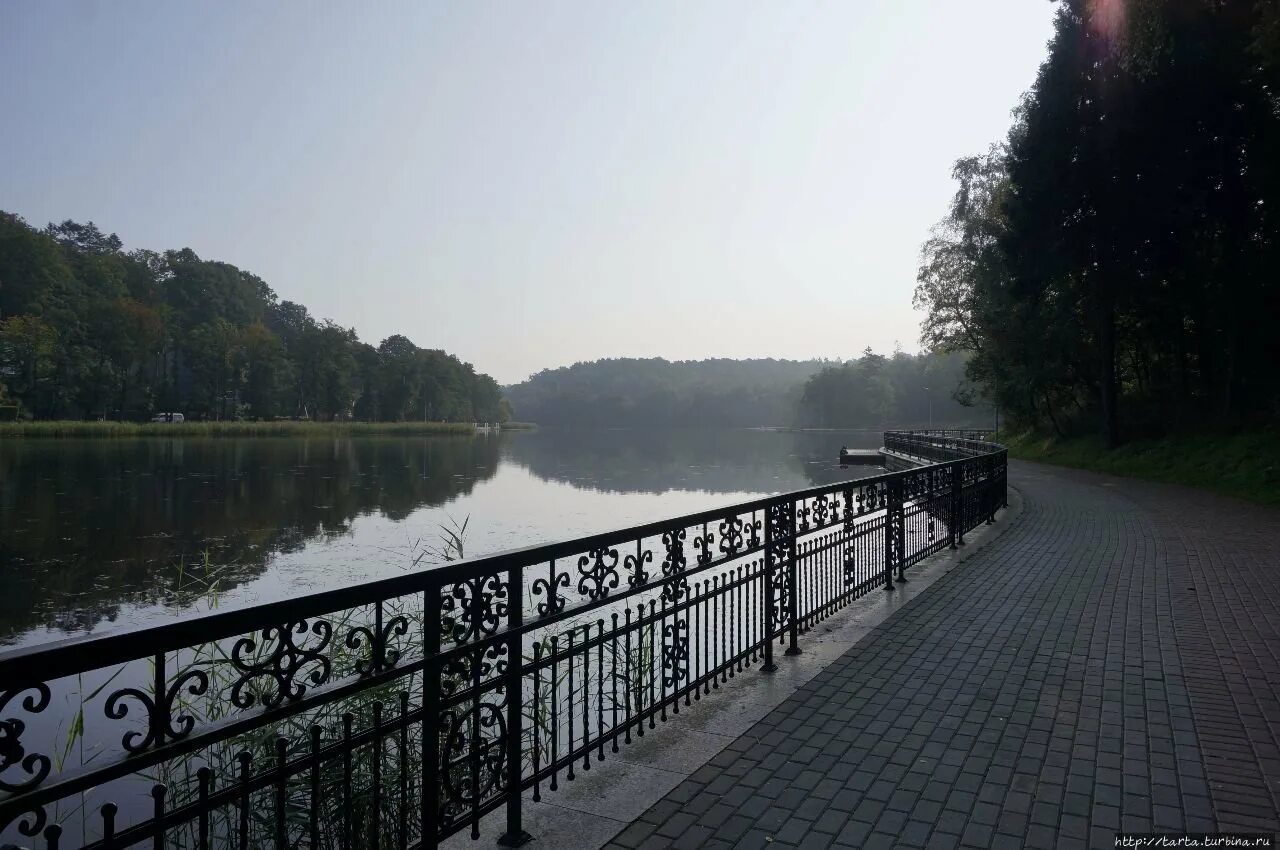 Светлогорск озеро тихое. Озеро тихое Светлогорск. Озеро тихое Светлогорск Калининградской области. Светлогорск озеро тихое фото. Светлогорск Калининградская область мелководное озеро тихое липа.