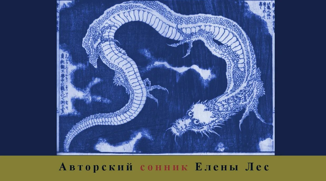 Змеи во сне мусульманский сонник. Что видит змея. Как видит змея. Как видит мир змея. К чему снится мертвая змея женщине.