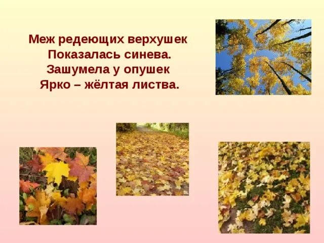 Твардовский меж редеющих верхушек стихотворение. Меж редеющих верхушек показалась синева зашумела у опушек. Твардовский меж редеющих верхушек. Твардовский меж редеющих верхушек. Диктант в степи.