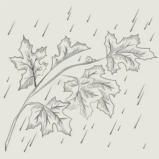 Как нарисовать падающие листья