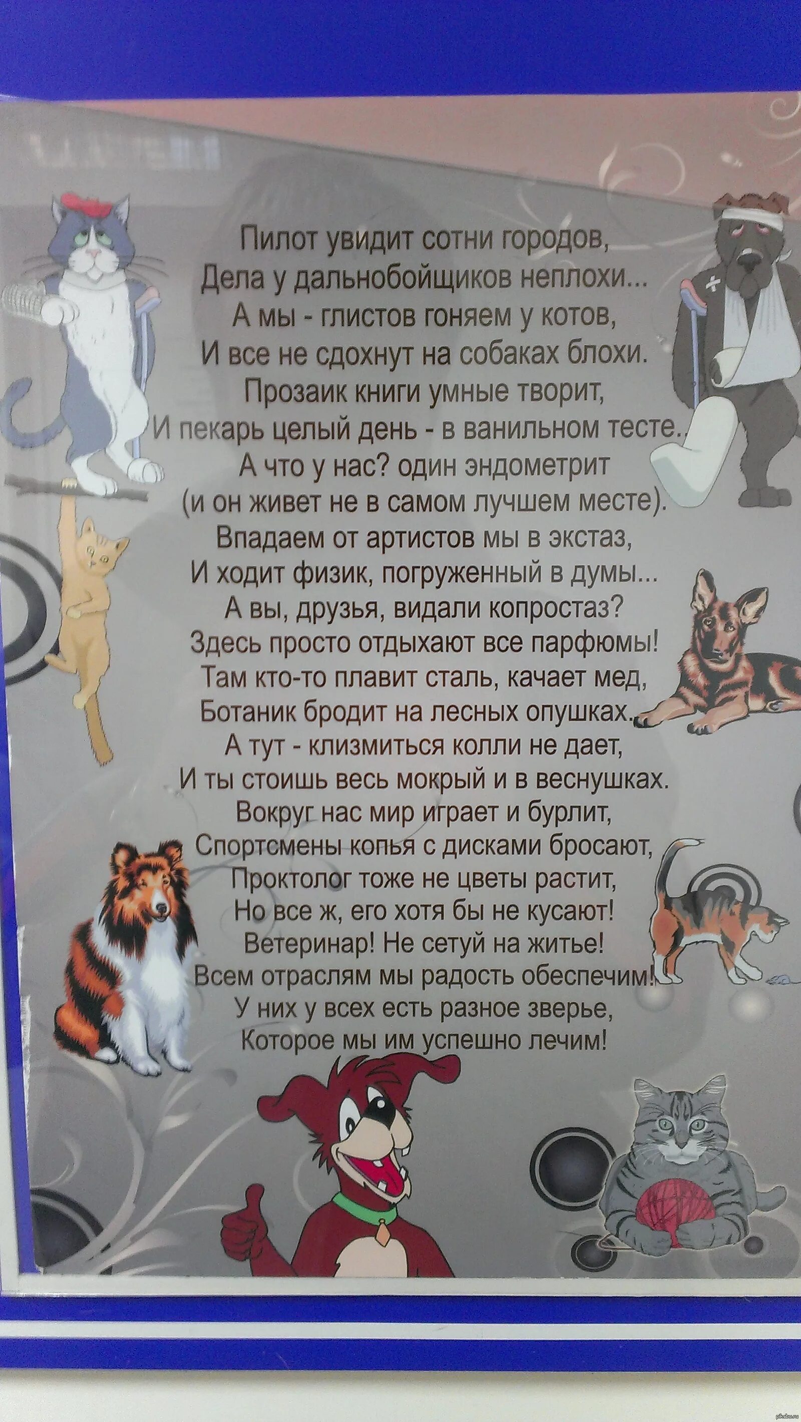 Песня про ветеринара. Профессия врач ветеринар. Песни про ветеринаров. Стишки про ветеринара. The animals с гитарами.