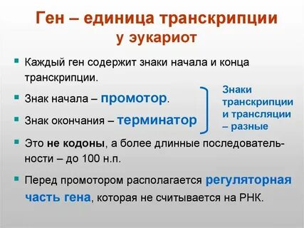 Гена перевод