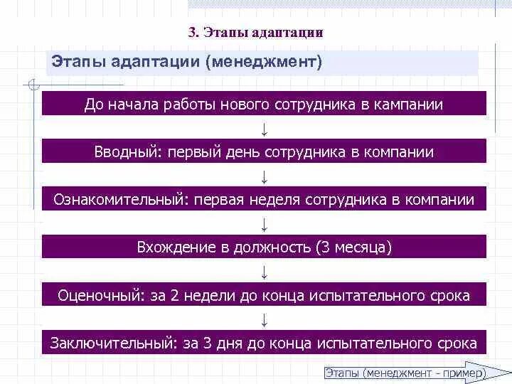 Примеры адаптации в организации. Схема адаптации нового сотрудника в организации. Этапы процесса адаптации схема. Этапы адаптации персонала. Стадии адаптации сотрудника в организации.