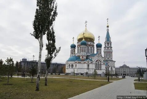 Реальный омск
