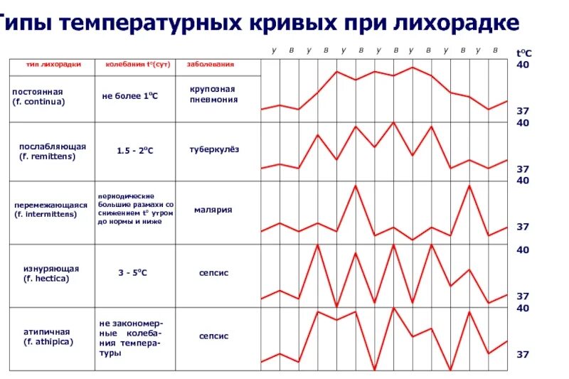 Построение температурной кривой алгоритм. Построение температурной кривой алгоритм
