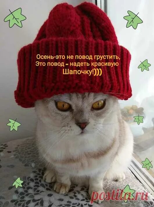 Осень не повод грустить. Осень не повод. Осень одевайся теплее. Осень это повод.