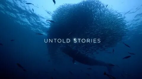 Ocean story