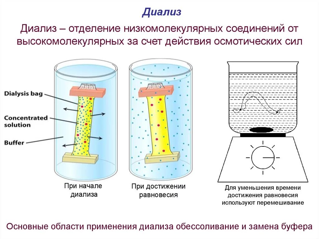 Диализ белков. Схема диализа раствора белка. Очистка методом диализа белков. Диализ принцип метода. Диализ физика процесса.