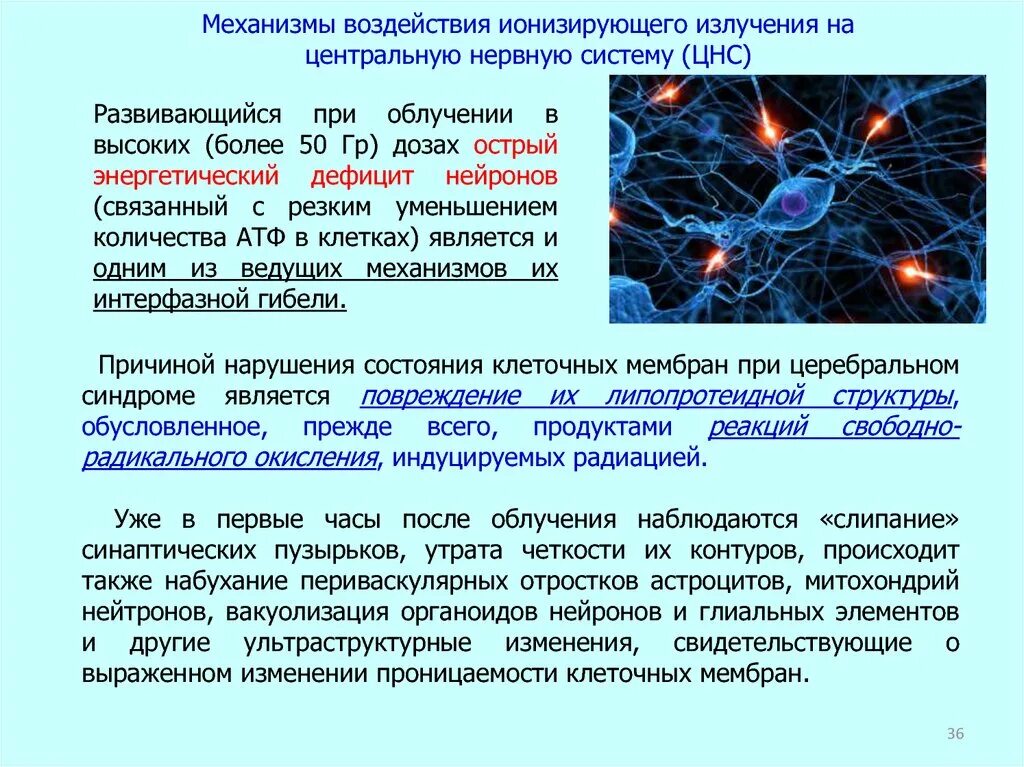 Физическое состояние клетки. Ионизирующие излучения. Действие ионизирующего излучения на иммунную систему. Воздействие ионизирующих излучений. Воздействие ионизирующего излучения на организм.