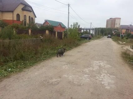 Ижс в подольском районе