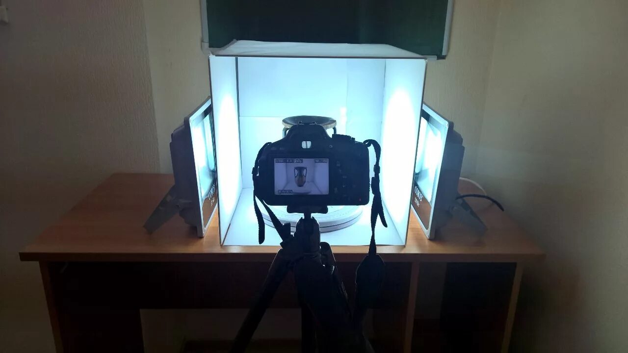 съемка музейных картин. аппарат для оцифровки музейных предметов и музейных. оцифровка экспонатов. сканер для экспонатов. софтбокс для кольцевой лампы.