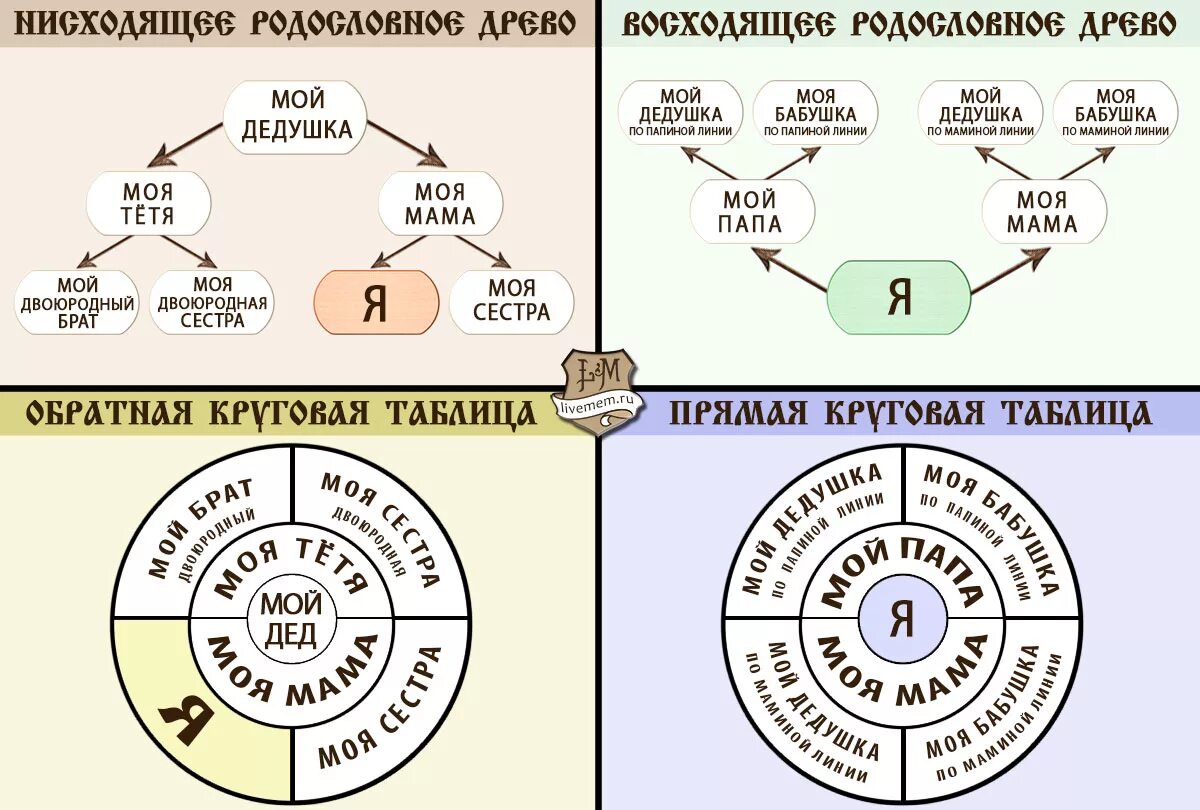 Древо семьи виды