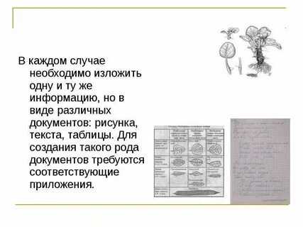 Род документа