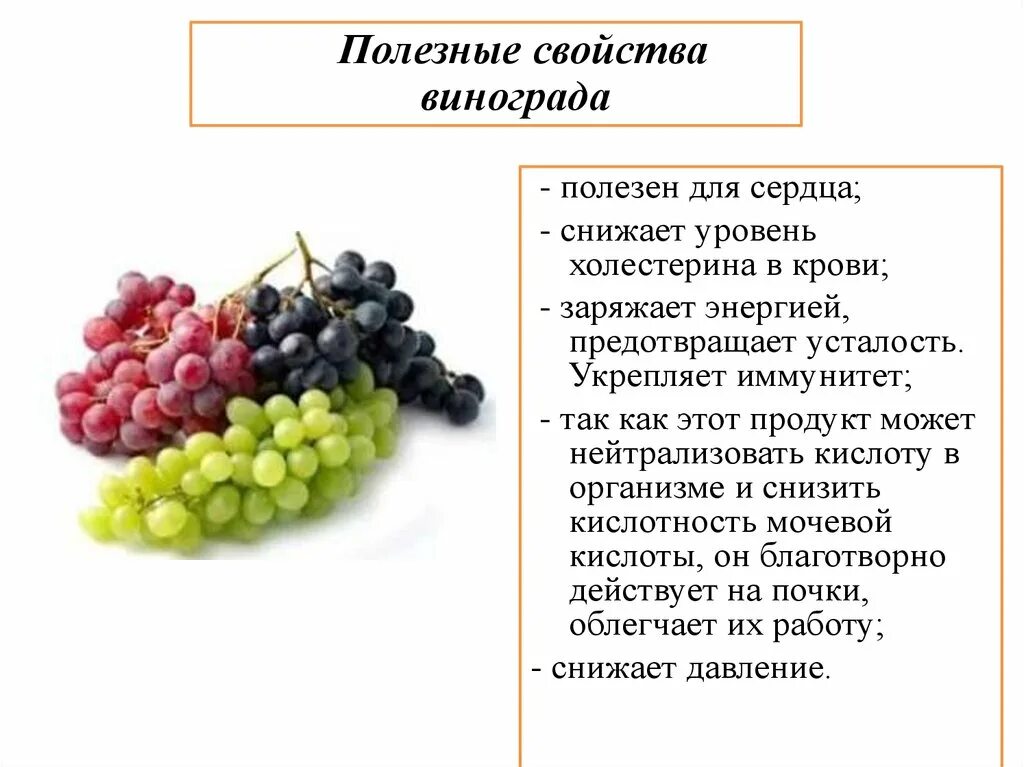 Сколько воды содержится в винограде. Чем полезен виноград. Чем полезен виноград для организма человека. Виноград польза. Полезные свойства винограда.