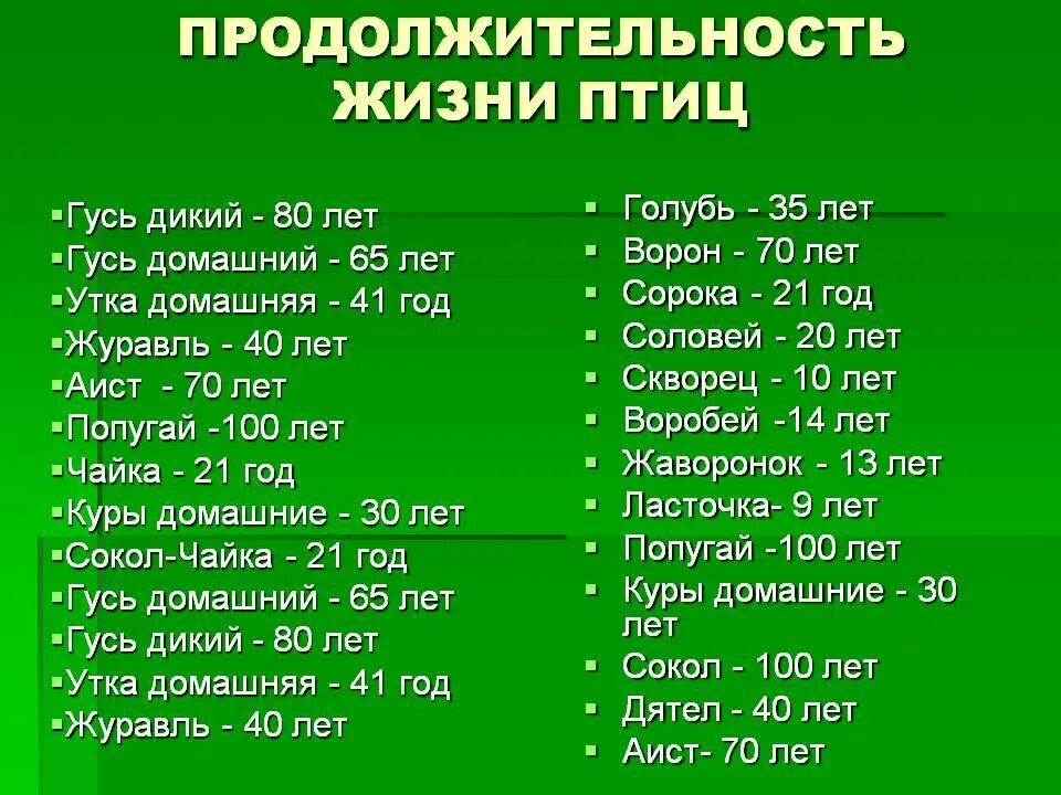 Периоды жизни птиц. Продолжительность жизни птиц таблица. Сколько живут птицы. Продолжительность жизни животных таблица. Срок жизни птиц таблица.