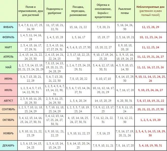 Дни для полива комнатных растений