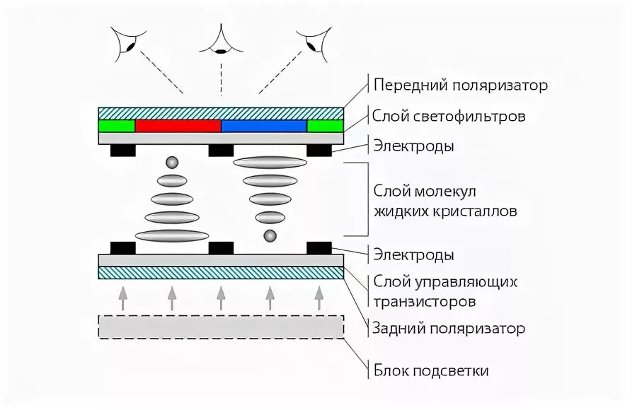 Tft in cell. Отличия tn от tft. дисплей tft и ips что лучше. tft tn теолефищрр.
