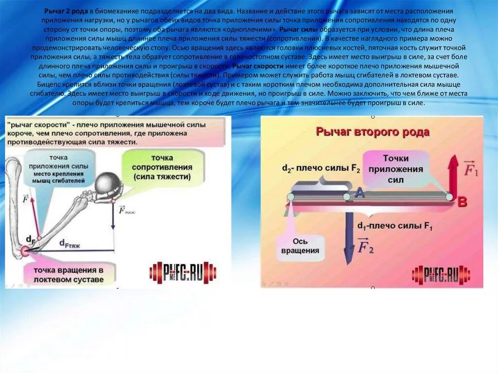 Какое действие оказывают на рычаг силы. Рычаг 2 рода. Рычаг второго рода в биомеханике. Рычаги в биомеханике. Рычаг второго рода силы.