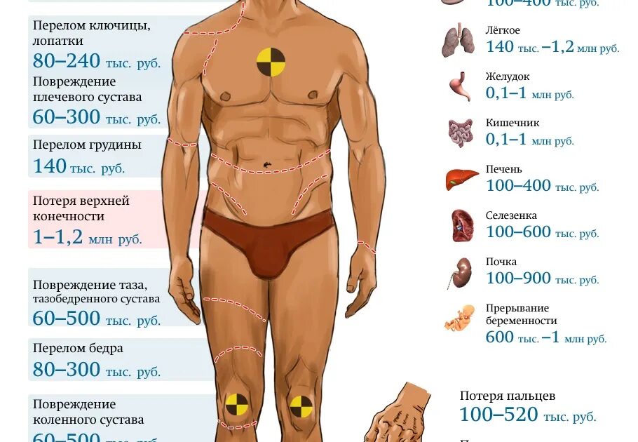 Мужской донор. Сколько стоит человек. Стоимость органов. Сколько стоят органы. Сколько стоят органы человека.