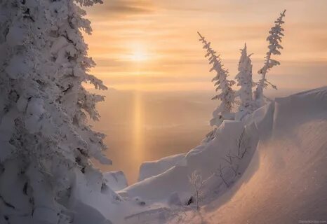 Бесплатные сибирские морозы
