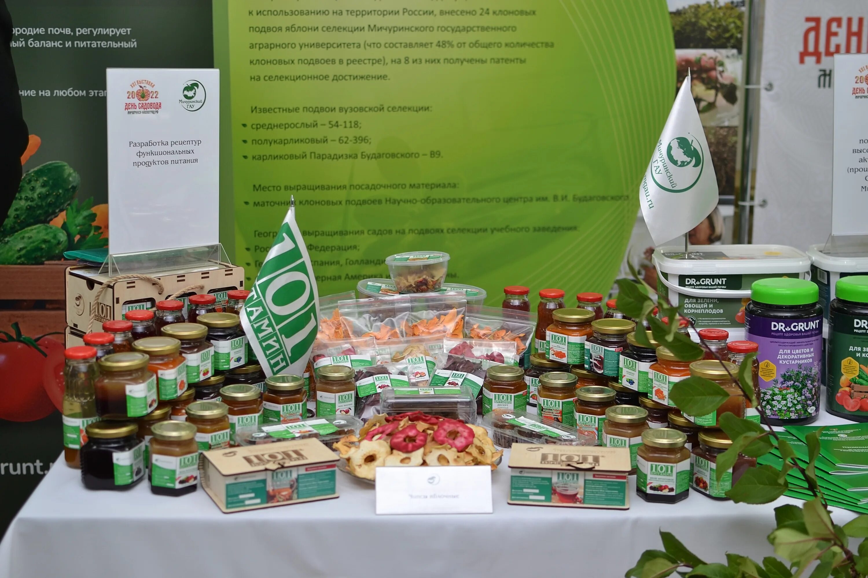 Агрономный институт мичуринск. День садовода праздник. День садовода выставки. Гау дня. День садовода 2020.