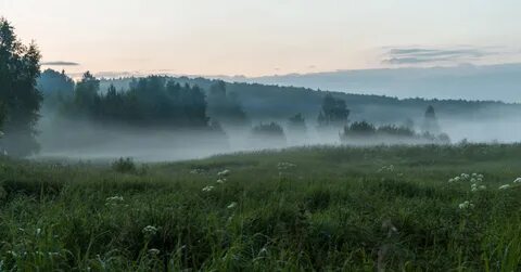 Дождь густой пеленой