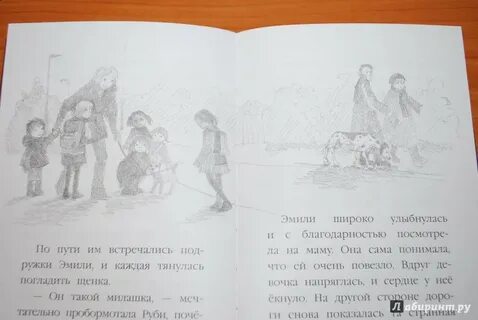 Сема очень голодный или сема встретил собак
