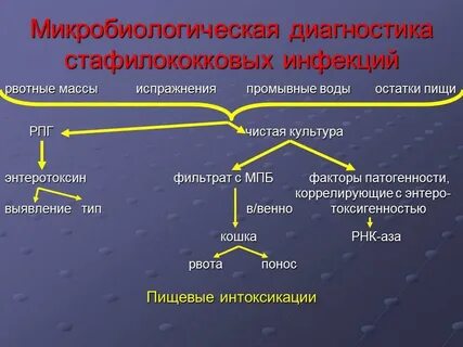Микробиологическая инфекция