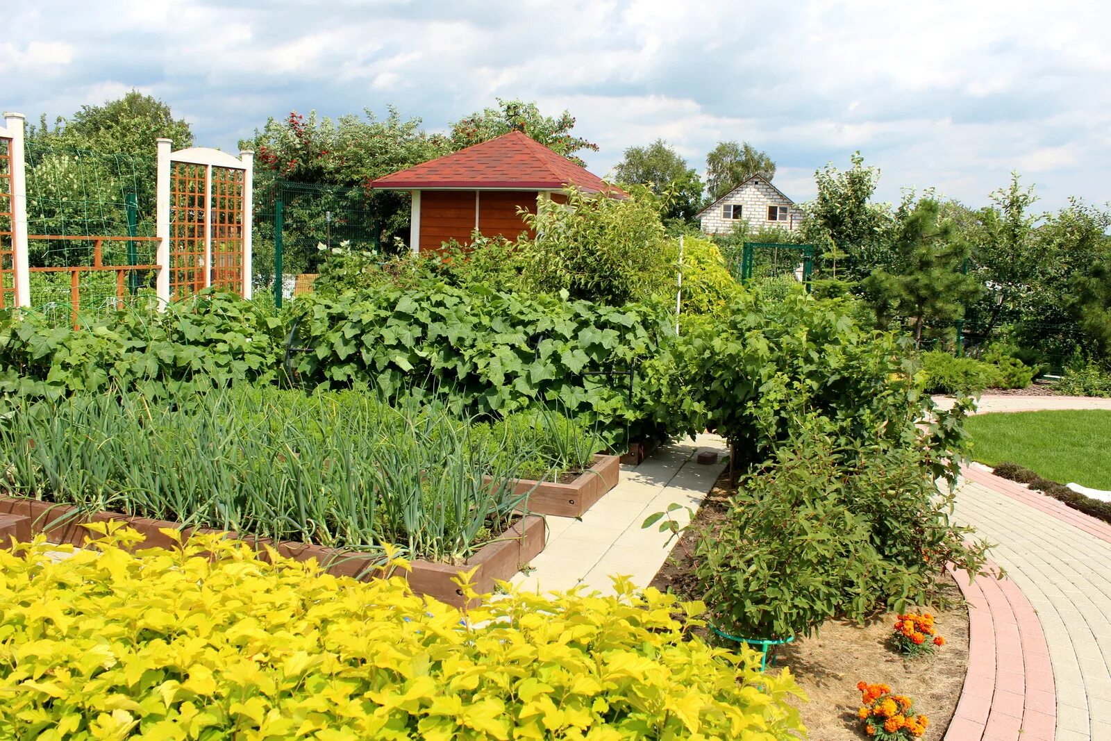 Сад и огород. Деревенский дом с огородом. Фазенда михайловск свердловская область. Красивый огород. Новосибирск огороды.