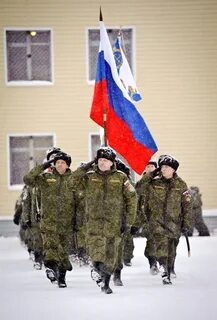 80 мотострелковая арктическая