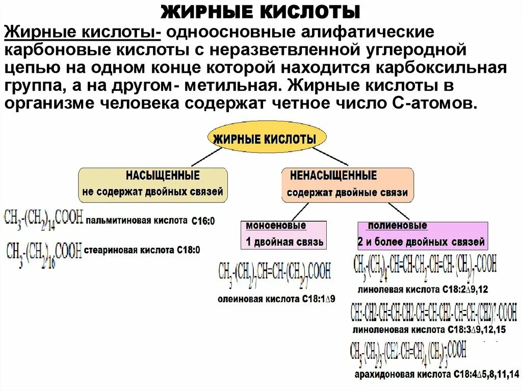 Жирные кислоты в организме человека. Алифатические жирные кислоты. Одноосновные жирные кислоты. Алифатические карбоновые кислоты жиры.