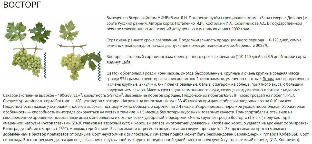 Можно ли давать листья